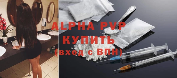 гашик Арсеньев