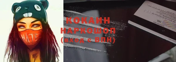 гашик Арсеньев