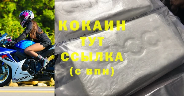 дживик Аркадак