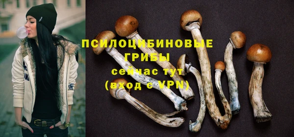 дживик Аркадак
