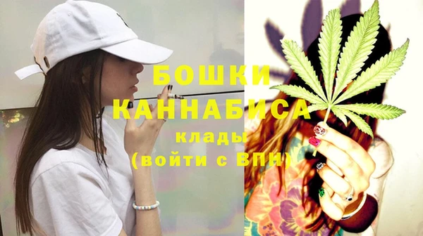 дживик Аркадак
