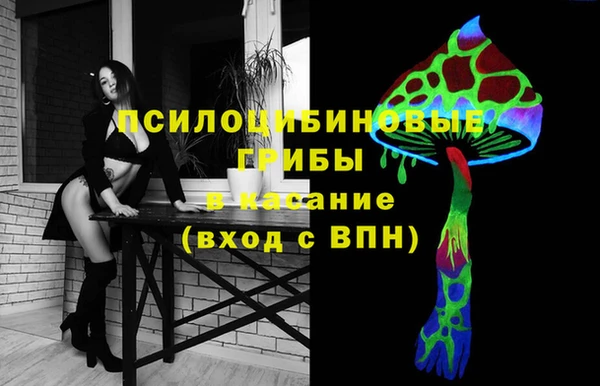дживик Аркадак
