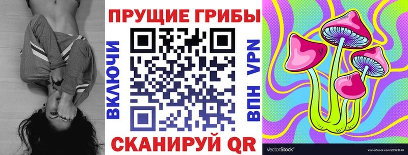 Галлюциногенные грибы Psilocybe  мега tor  Пустошка 